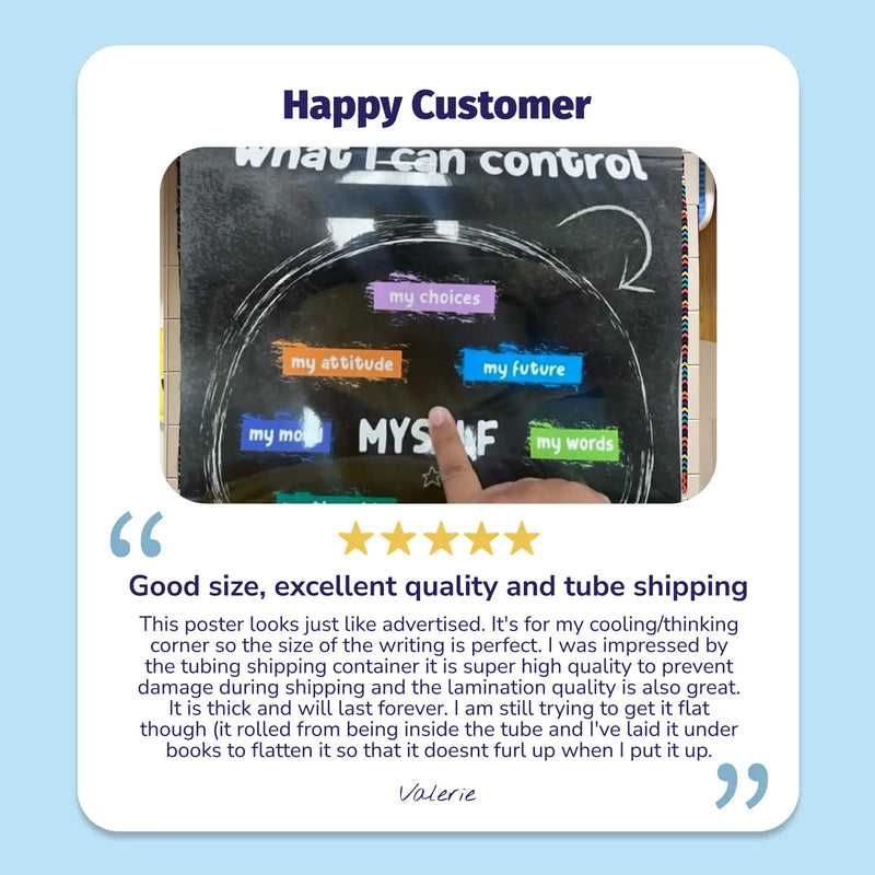 Things I Can Control - Laminated Growth Mindset Poster - 12"x18"