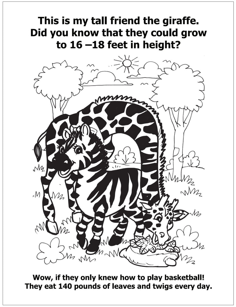 CUSTOM COLORING BOOKS - A View of the Zoo with Zola Zebra