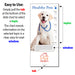 Healthy Pets Slide Charts (Qty 250) - Customize with Your Imprint