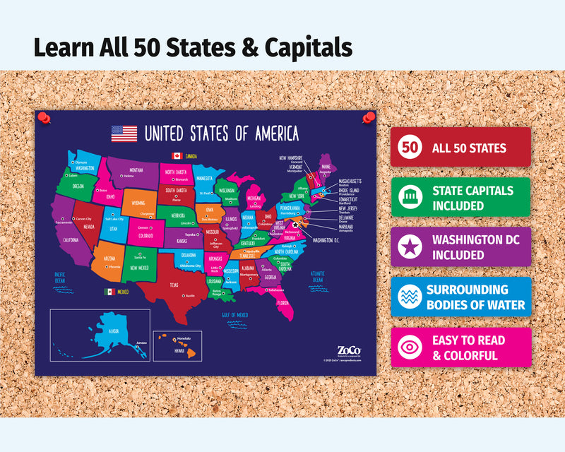 A colorful educational poster of the United States showing all 50 states and capitals, displayed on a cork board next to feature callouts.