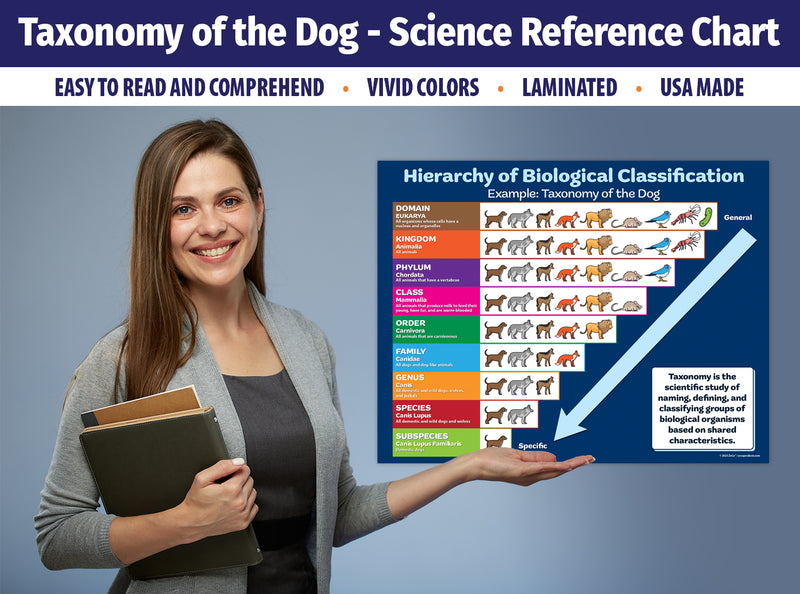 Biology Poster 2 Pack: Hierarchy of Biological Classification (Taxonomy of the Dog) & Classifying Animals (Kingdom Animalia)