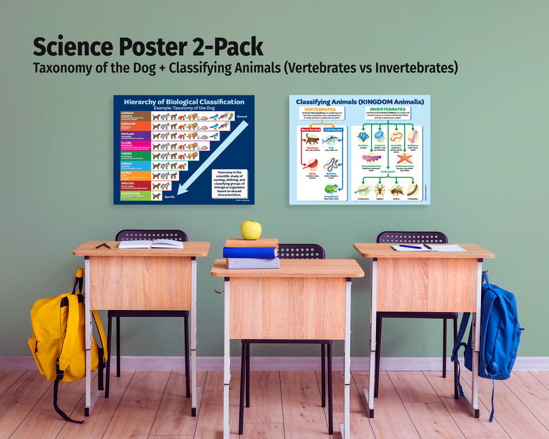 Science Posters 2-Pack: Kingdom Animalia & Taxonomy Levels — Laminated 17 × 22
