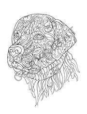 Adult Coloring Books 10 Pack | ANIMALS: Stress Relieving Coloring Books