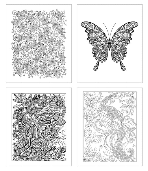 Coloring Gift Kit - 5 Stress Relieving Adult Coloring Books with Pencils