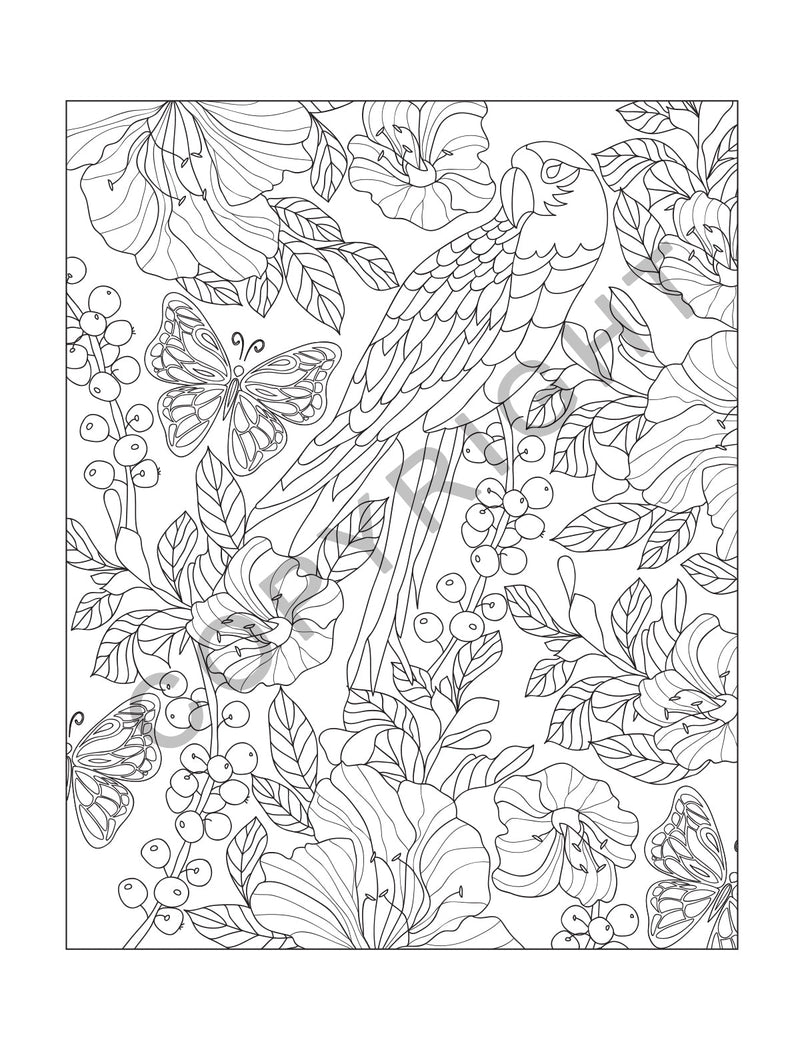 ZoCo - Adult Stress Relieving Coloring Books: NATURE
