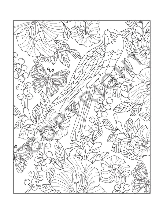 ZoCo - Adult Coloring Books | NATURE: Stress Relieving Coloring Books