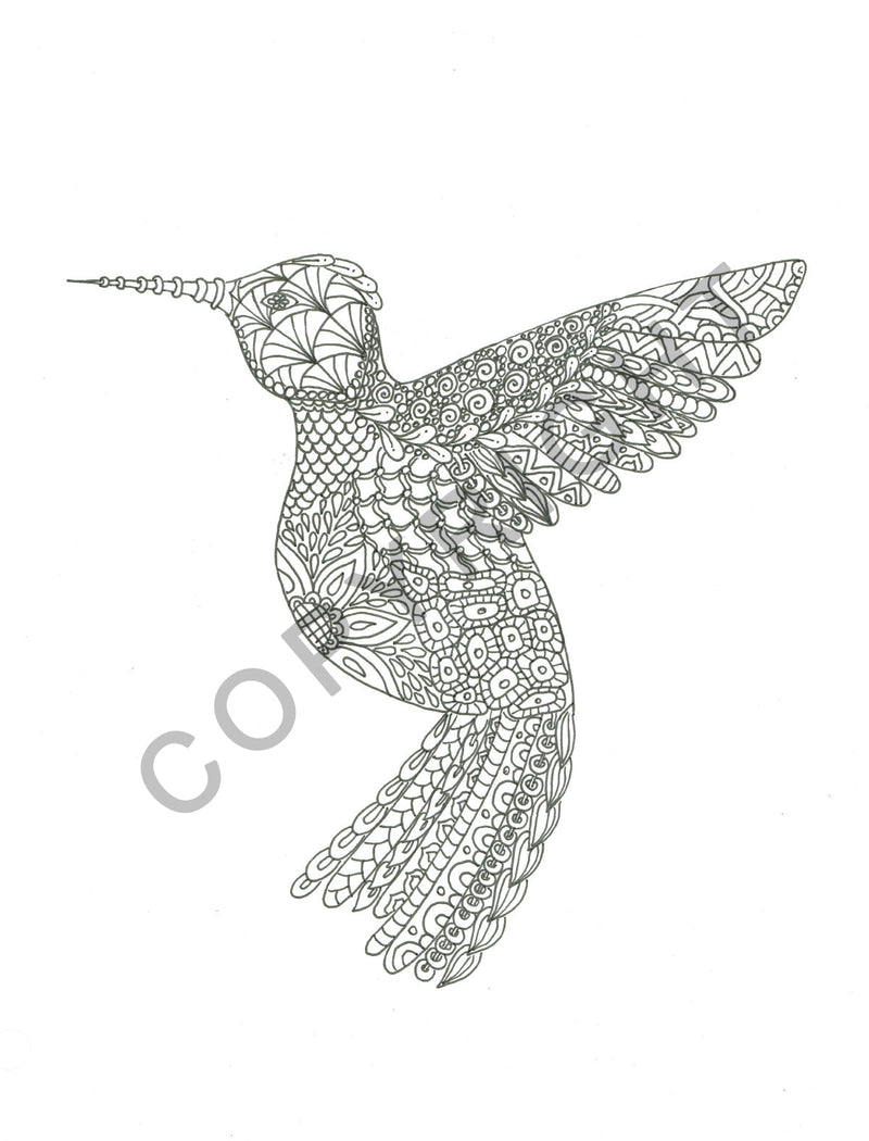 ZoCo - Adult Stress Relieving Coloring Books: NATURE