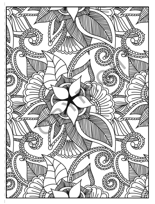 Coloring Books For Adults: 30 Coloring Detailed Coloring Pages For Adults,  Teenagers, Tweens, Older Kids, Zendoodle 8.5 x 11 (Paperback)