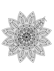 Adult Coloring Books 10 Pack | ZENDOODLE: Stress Relieving Coloring Books