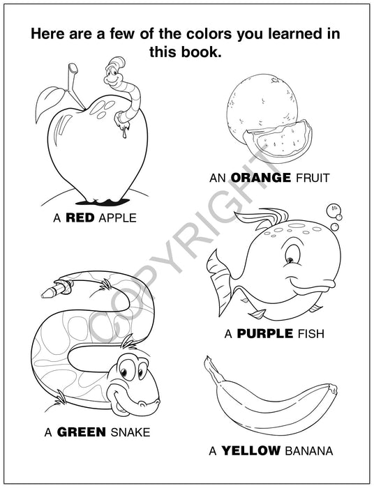 Fun With Colors Kid's Educational Coloring & Activity Books