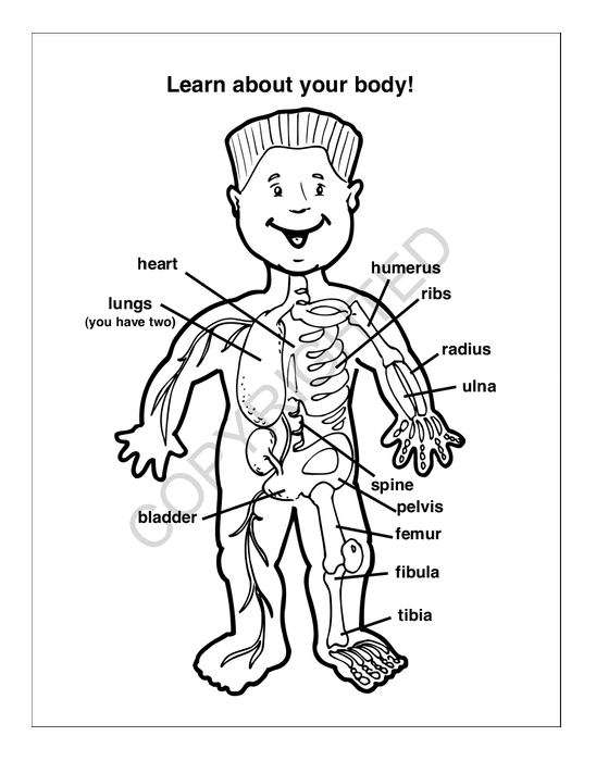 Your Hospital Cares About You - Coloring and Activity Books in Bulk
