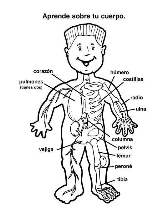 Your Hospital Cares About You (Spanish Version) Coloring & Activity Books