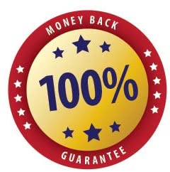 Beware of Dog Warning Sticker - Beware of Pitbull Window Sticker - Beware of Dog Sign Decal - Dog on Premises Sign - No Trespassing Window Cling - Beware of Dog Window Sticker