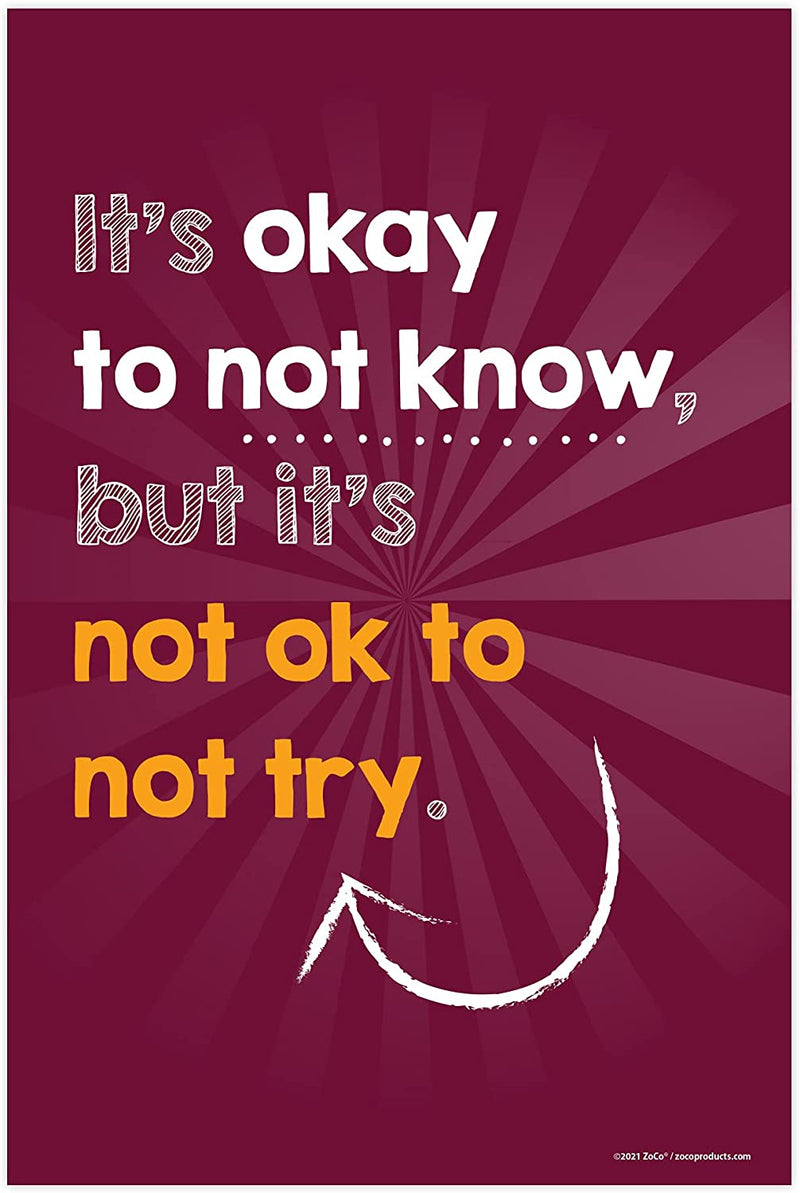 Inspirational Growth Mindset Laminated Posters (6 Pack) - 12"x18"