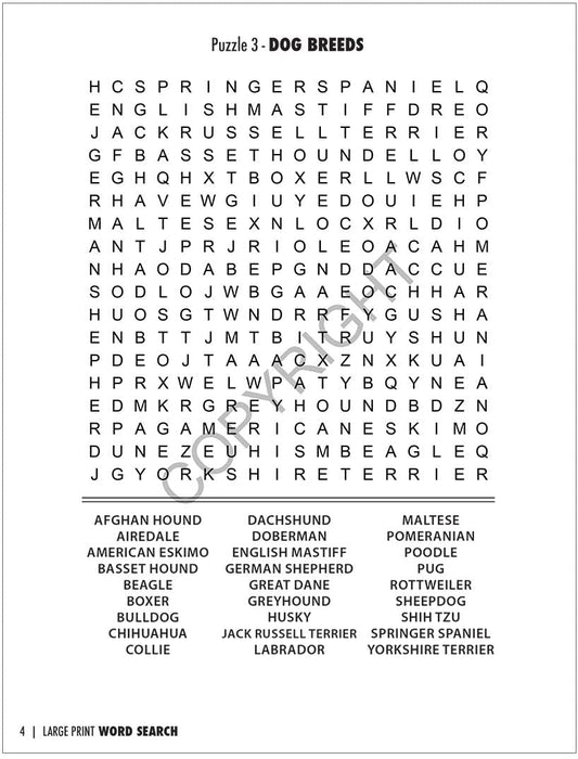 Word Search Books for Seniors and the Visually Challenged