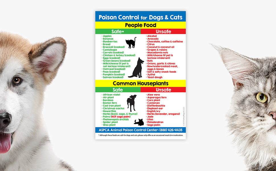 Safe & Toxic Foods & Plants for Dogs and Cats Fridge Magnet