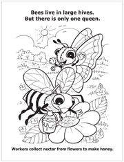 CUSTOM COLORING BOOKS - All About Insects