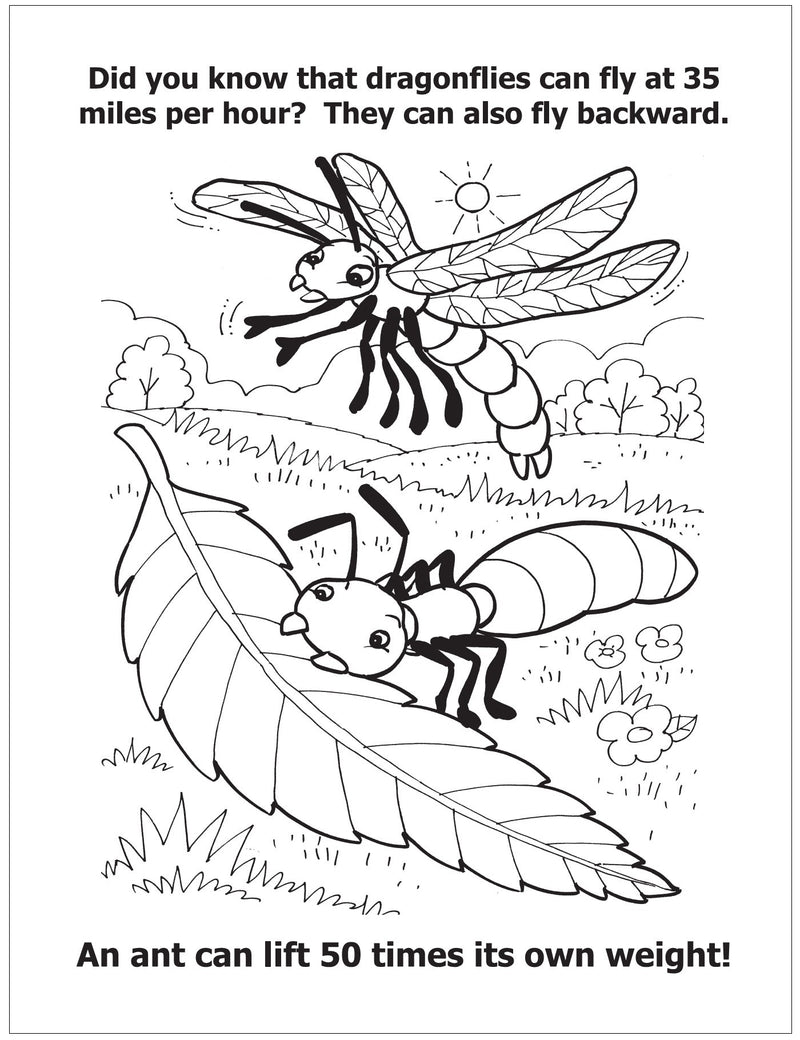 CUSTOM COLORING BOOKS - All About Insects