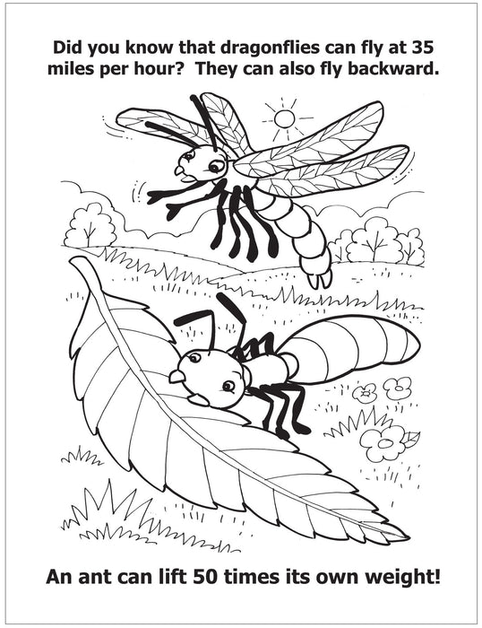 CUSTOM COLORING BOOKS - All About Insects