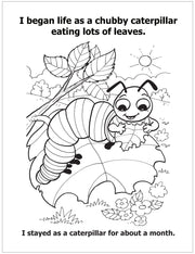 CUSTOM COLORING BOOKS - All About Insects
