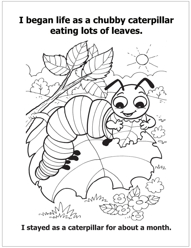 CUSTOM COLORING BOOKS - All About Insects