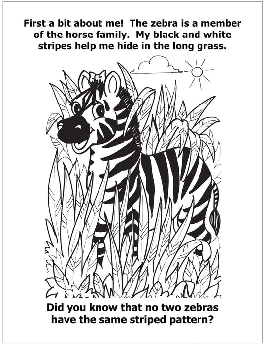 CUSTOM COLORING BOOKS - A View of the Zoo with Zola Zebra